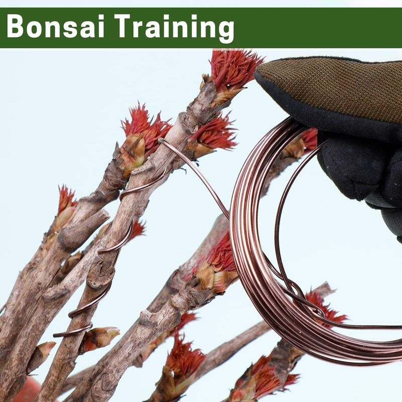 ZELARMAN Wire Bonsai Tree, 4 Rolls Total 64Ft Aluminum Bonsai Training Wire Set for Indoor 1.0MM, 1.5MM, 2.0MM - Image 5